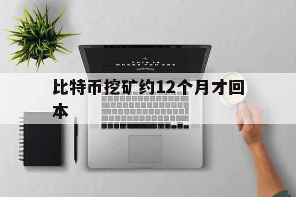 关于比特币挖矿约12个月才回本的信息