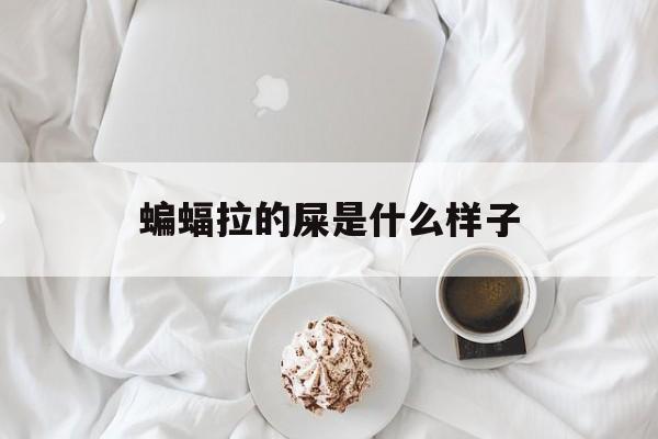 蝙蝠拉的屎是什么样子的简单介绍