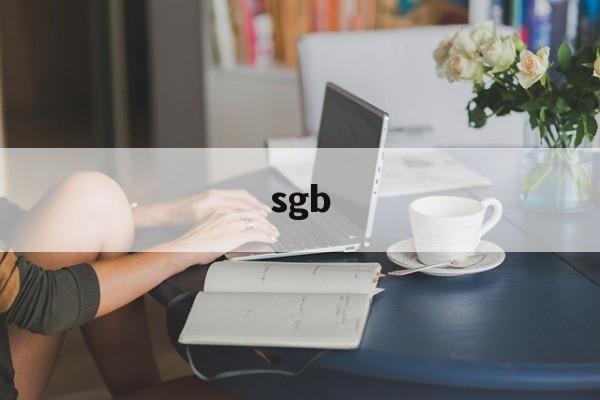 sgb:(sgd网络语言是什么)